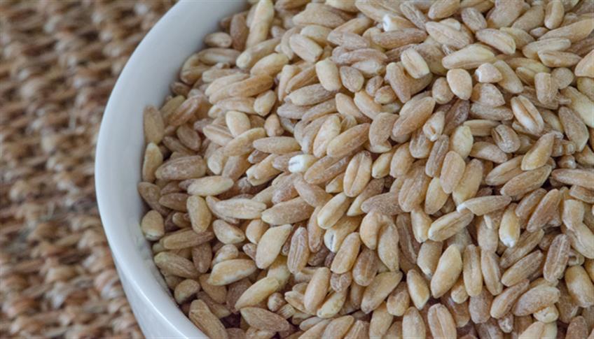 Tante sono le caratteristiche positive del Farro Tante sono le caratteristiche positive del Farro